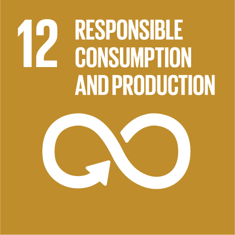 United Nations Sustainable Development Goal 12: Responsible Consumption and Production