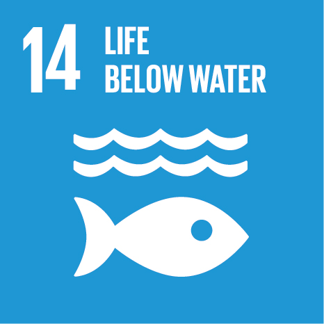 United Nations Sustainable Development Goal 14: Life Below Water